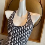 Dior's new one-piece swimsuit