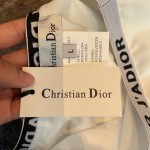 Dior new split swimsuit
