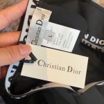 Dior new split swimsuit