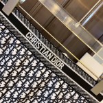 Dior Bikini Swimwear