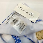 Dior new letter bikini