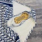 Dior presbyopic one piece swimsuit