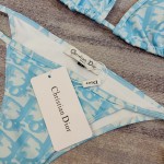 Dior new split swimsuit