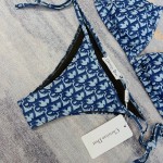 Dior new split swimsuit