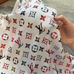 Louis Vuitton Bikini Swimsuit