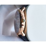 Piaget Men's Watches