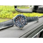 Omega Seamaster Series