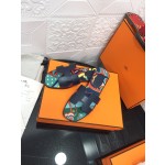 Hermes H series new revision