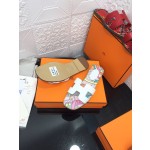 Hermes H series new revision