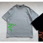 Arc'teryx Big Bird series