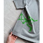 Arc'teryx Big Bird series