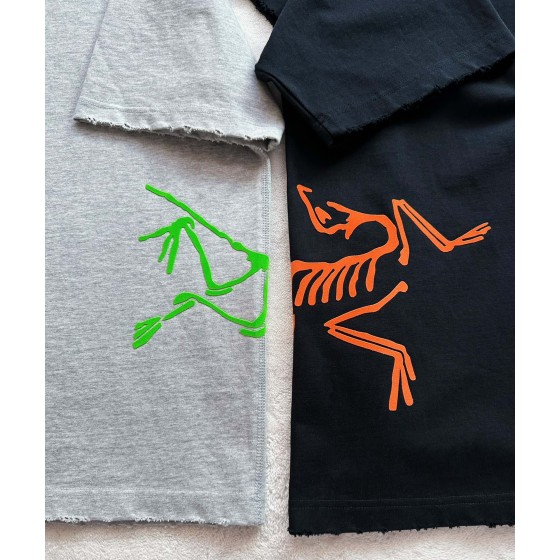 Arc'teryx Big Bird series