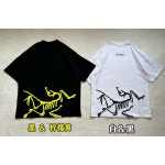 Arc'teryx Big Bird series