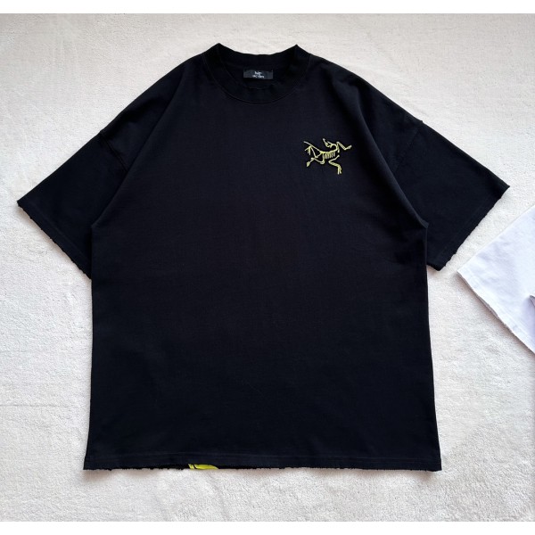 Arc'teryx Big Bird series