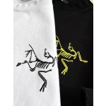 Arc'teryx Big Bird series