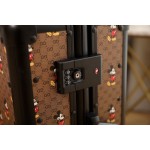 Gucci luggage/trolley