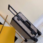 Gucci luggage/trolley