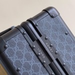 Gucci luggage/trolley