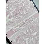 Christian Dior luggage/trolley