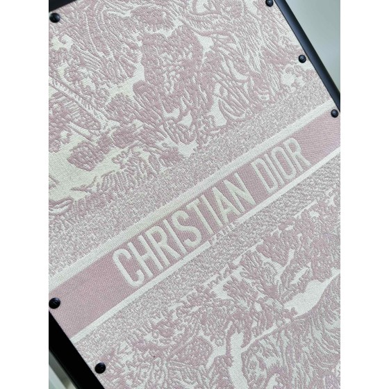 Christian Dior luggage/trolley