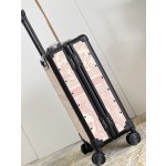 Christian Dior luggage/trolley