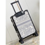 Christian Dior luggage/trolley