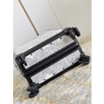 Christian Dior luggage/trolley