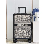 Christian Dior luggage/trolley