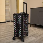 LOUIS VULTTON luggage / trolley case