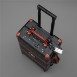 GUCCl aluminum-magnesium alloy boarding case