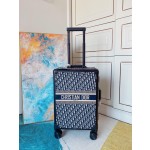 Dior suitcase