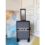 Dior suitcase