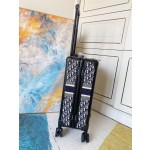 Dior suitcase