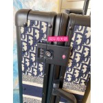 Dior suitcase