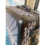 Dior suitcase