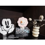 Can store coins Piggy bank