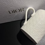 Miss Dr Cannage Series