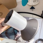 Dyson Goddess essential hair dryer